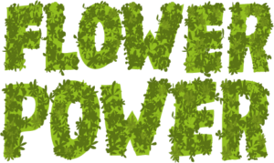 Flower Power Torino Logo